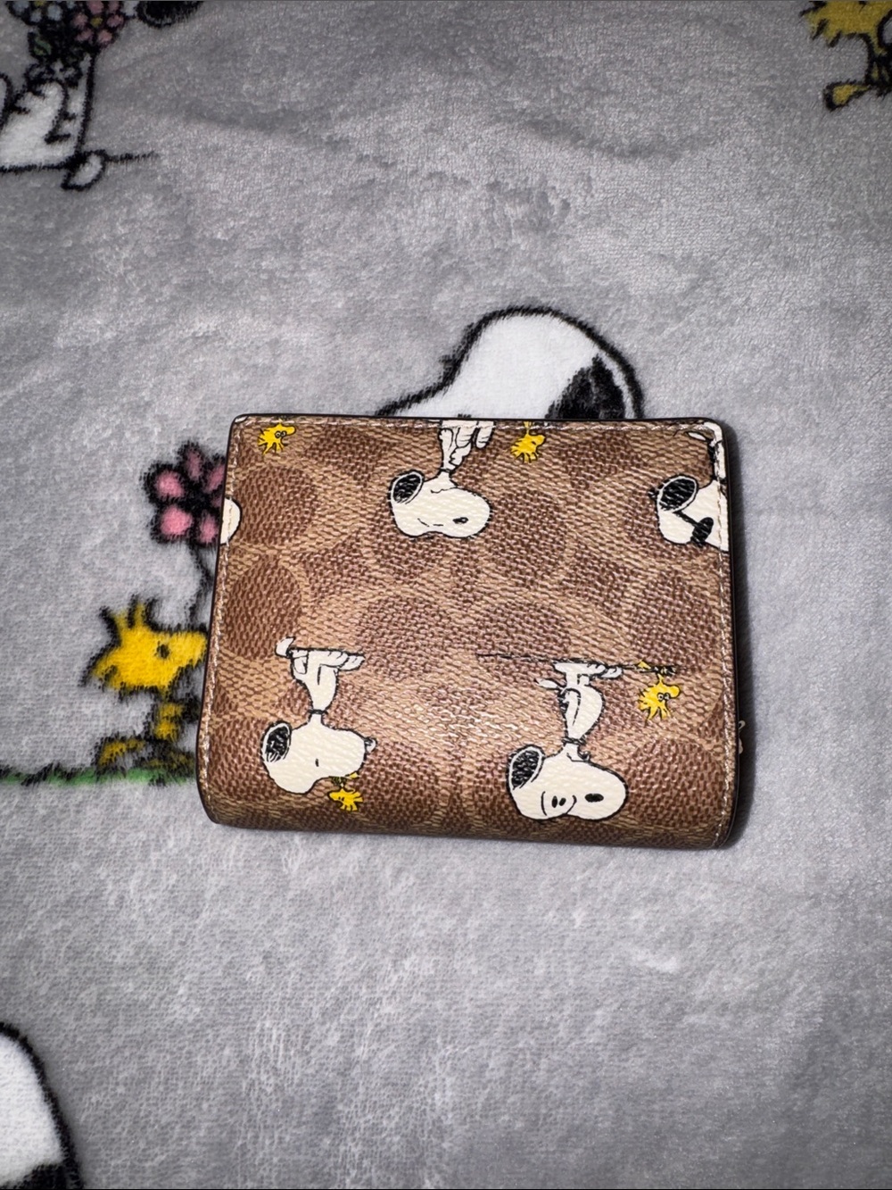 Coach X Peanuts Snap Wallet - Picture 2 of 7